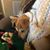 Tracy Matozzo's profile image