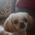 Tina Saylor's profile image