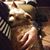 Jaci Smith's profile image
