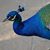 Kathleen Gnan's profile image