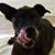 Valerie Warren's profile image