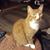 Martha Perkins's profile image