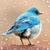 Kristen L Prevedel's profile image