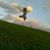 Heather Osborne Keefe's profile image
