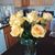 Rita Moreno Sagrera's profile image