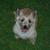 Christina C.'s profile image