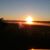 Joyce Boeckman's profile image