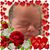 Denise Shackelford's profile image