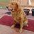 Barb Bashaw Moe's profile image