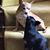 Laura Mueller Tarsitano's profile image