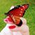 Linda Perry Henry's profile image