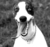 T L.'s profile image