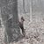 Chuck Coomer's profile image