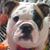 Amy Nelson's profile image