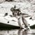 Allison Wollam's profile image