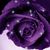 Kris Zablocki's profile image