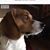 Debbie Lauterbach's profile image