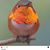Liz Favila Wise's profile image