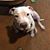 Cristy Crook's profile image