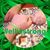 Traci De Carlo's profile image