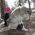 Yvonne Jansen's profile image