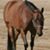 Sandy Coulter's profile image