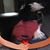 Susan McKinzie's profile image