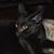 Suzanne Shaw's profile image