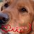 Debbie Konen Noren's profile image