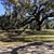 Victoria Bonnes's profile image