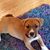 Tina Hafner's profile image