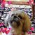 Aggie Urbanick's profile image