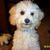 Mary Ottinger's profile image
