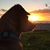 Susanne Howarth's profile image
