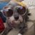 Janet Leon's profile image