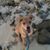 Angharad Parkes's profile image