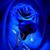 Johnna Walters's profile image