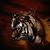 Fadi Muqeem's profile image