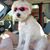 Cindy Lou Teeters's profile image