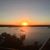 Joann McAnally's profile image