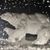 Andrea M Policicchio-Moss's profile image