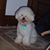 Rachel Ptacek's profile image