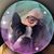 Kirk Freitas's profile image