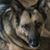 Cheryl Garmon's profile image
