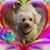 Karen Barton's profile image
