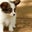 Matthew Garabedian's profile image