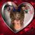 Denise Knight's profile image