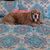 Cindy Lavell's profile image