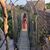 Diane Wolffe-Garcia's profile image