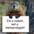 Craig Wallander's profile image